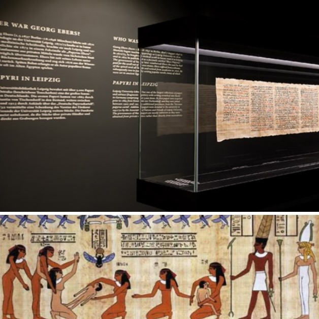 The earliest written about abortion evidence is from Ancient Egypt, around 1550 BCE, and precisely to the pages of the 'Papyrus Ebers'. The document is now in the library of the University of Leipzig, and contains a whole chapter on abortion and many other pages ranging from cancer care to burns, gynecology and contraceptive methods
