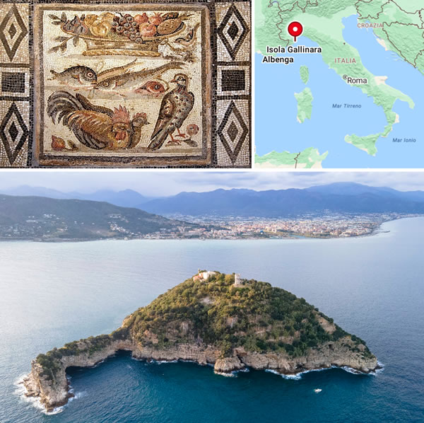 Floor mosaic depicting birds, fish and fruit basket. Opus vermiculatum, Roman artwork of the end of the 1st century BC/begin of the 1st century AD. - National Museum of Rome, Rome, Italy