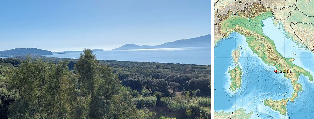 Islands of Procida, Vivara and Ischia seen from the Archaeological Park of Cuma