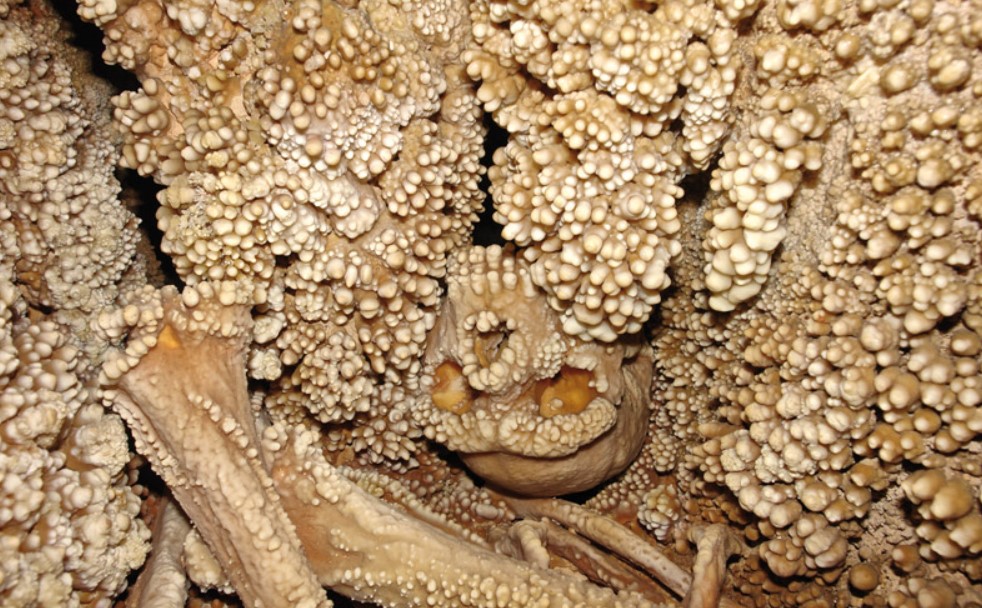 The skull and fossil bones of Altamura Man are still located in Lamalunga cave.