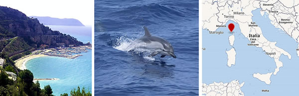 Small Port of Alassio and striped dolphin in the Mediterranean Cetacean Sanctuary (indicated in red on the map)
