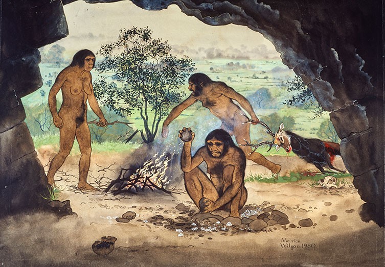 Illustration by Maurice Wilson showing Homo erectus using fire and preparing tools