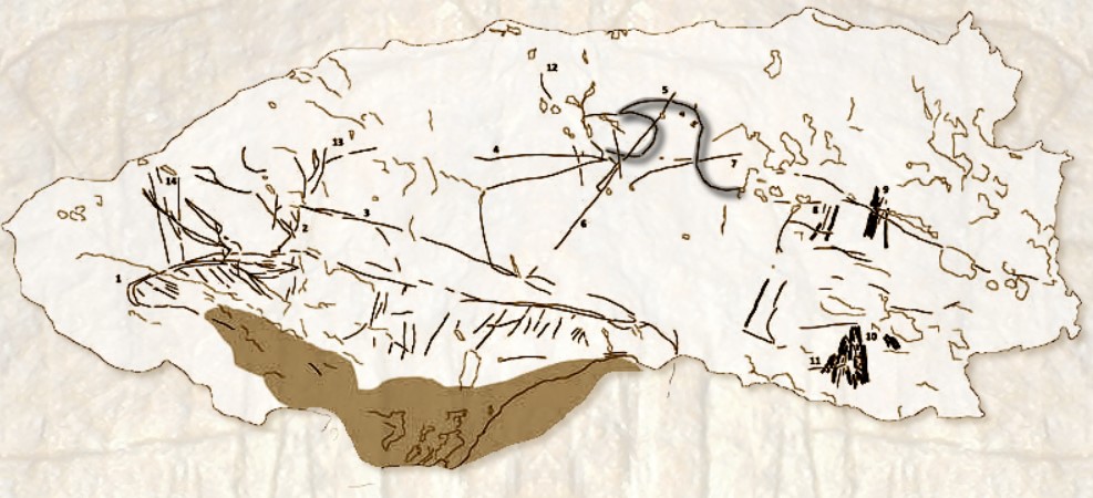 Panel F in the GRP005 area with a bovid and a great auk (ph. D. Sigari and others, 2021).
