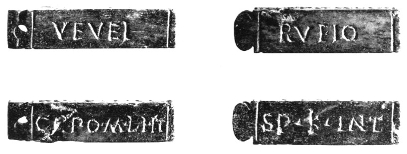 Ivory tessera (3x0.8x0.7 cm), featuring a rounded appendice with a threading hole, inscribed: RVFIO VEVEI SP(ECTAVIT) K(ALENDIS) INT(ERCALARIBVS) CN(EO) PO(MPEIO) M(ARCO) LI(CINIO CRASSO) [CONSVLIBVS] II. Rufio, the bonded financial agent of Veveius, verified [the coins] on the intercalary Kalends during the second consulship of Gnaeus Pompeius and Marcus Licinius Crassus.