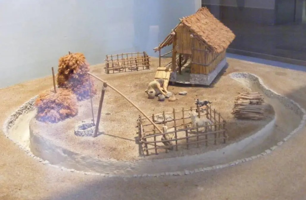 Reconstruction of a residential area of the Neolithic village of Passo di Corvo (Civic Museum in Foggia).